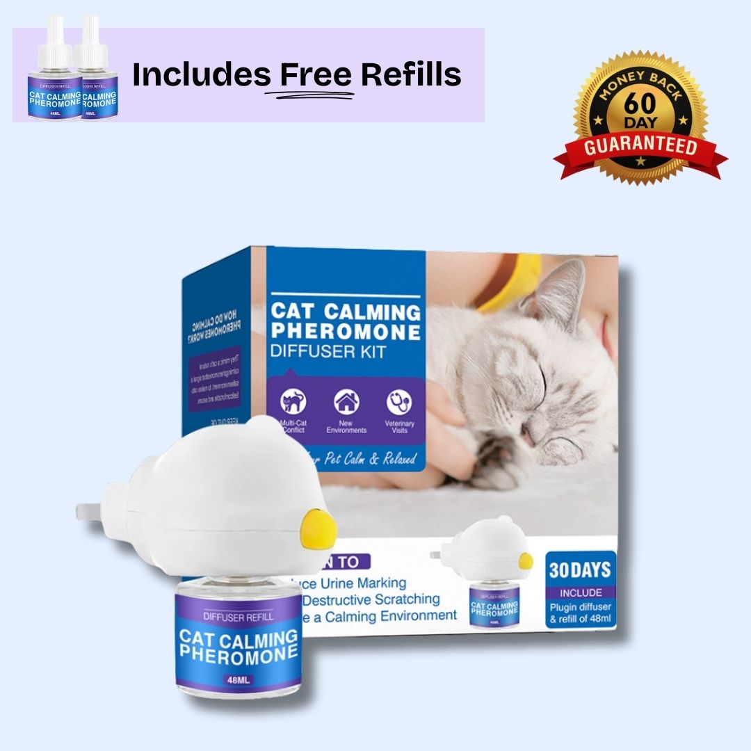 Stop Cat Stress Behaviors with Nature's Own Calming Signal